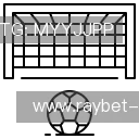 发现雷竞技平台